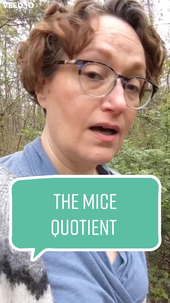 @maryrobinette