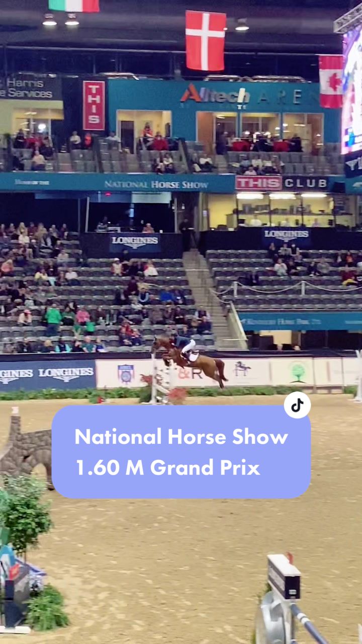 @TheChoiceEquestrian
