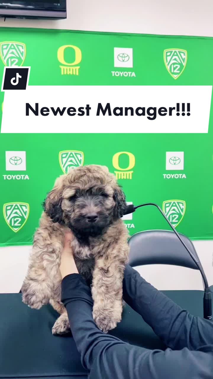 @oregonwbbmanagers