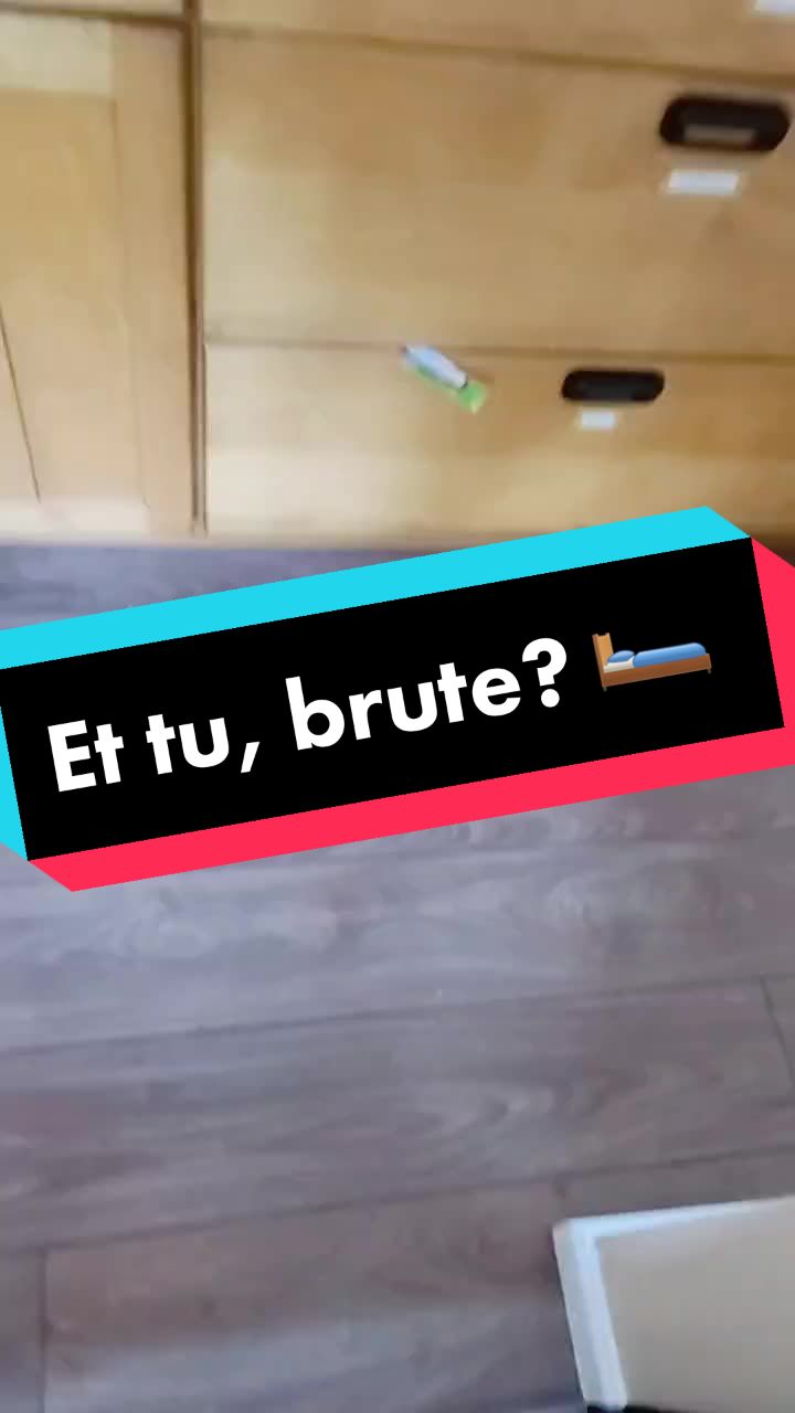 @HydraPlz