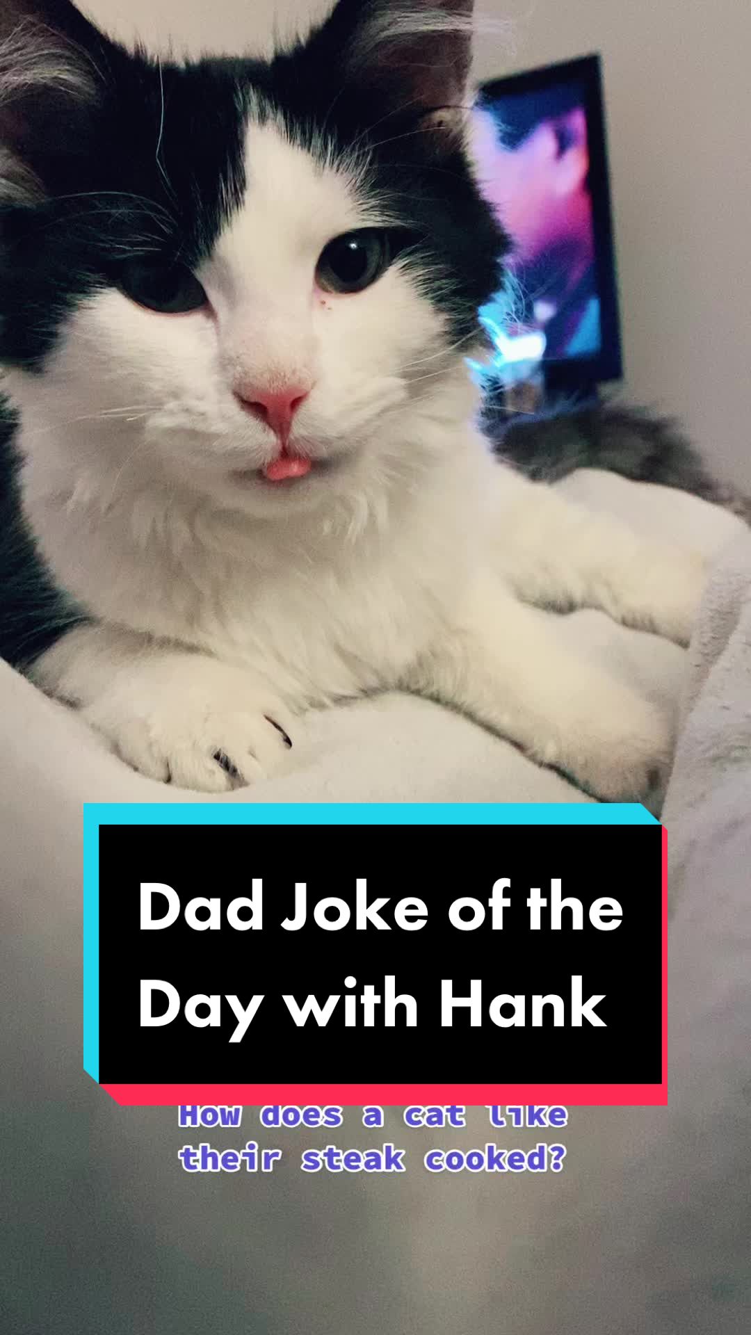 @Tilted_Hank
