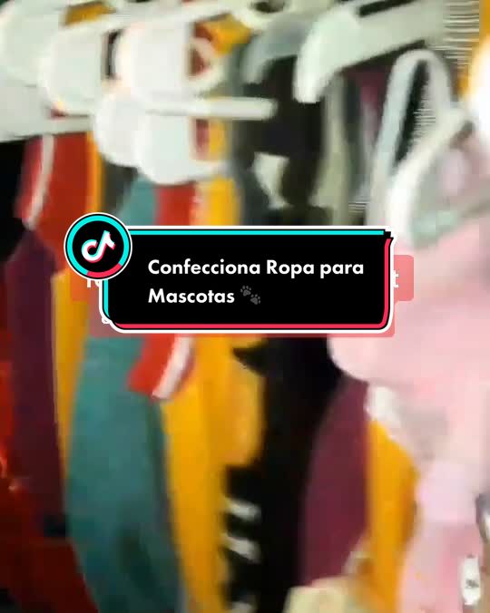 @Mascotas Fashion