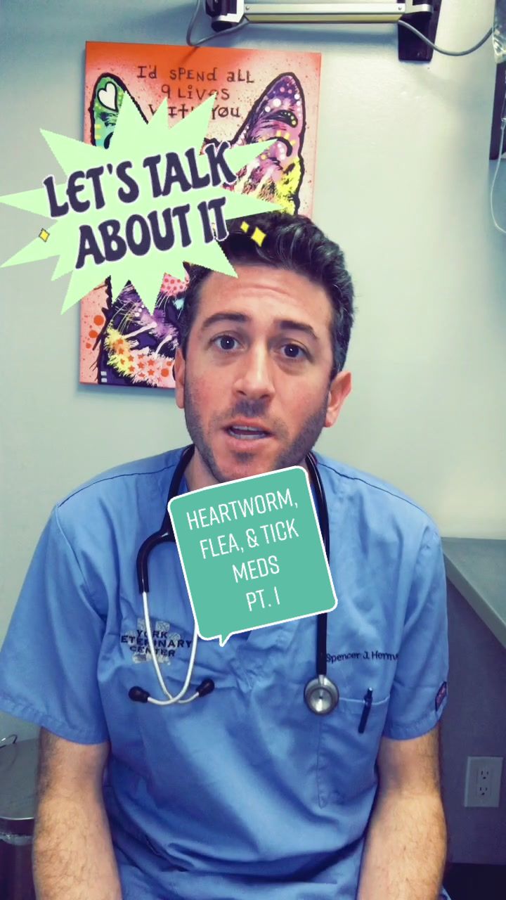 @Dr. Spencer J. Herman, DVM