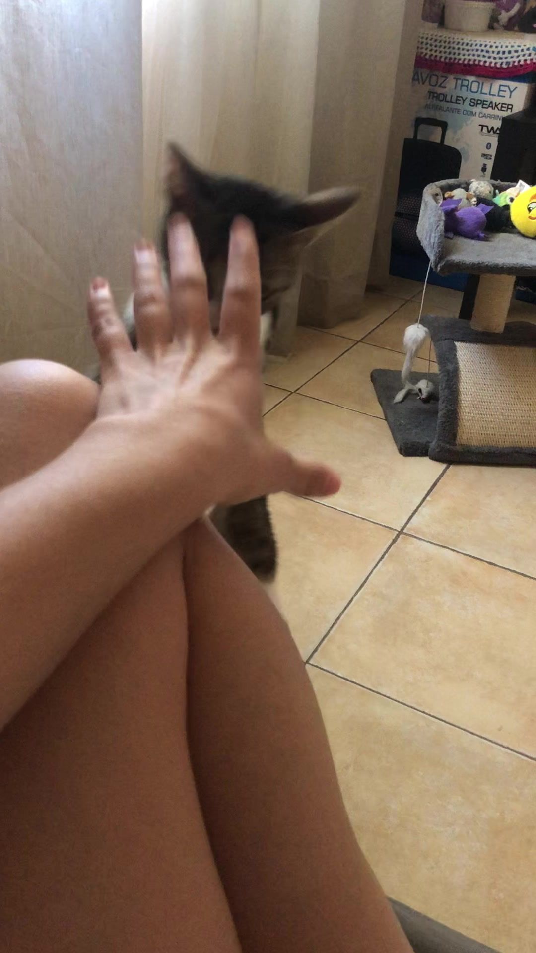 @иαtι ѕαez 🐣