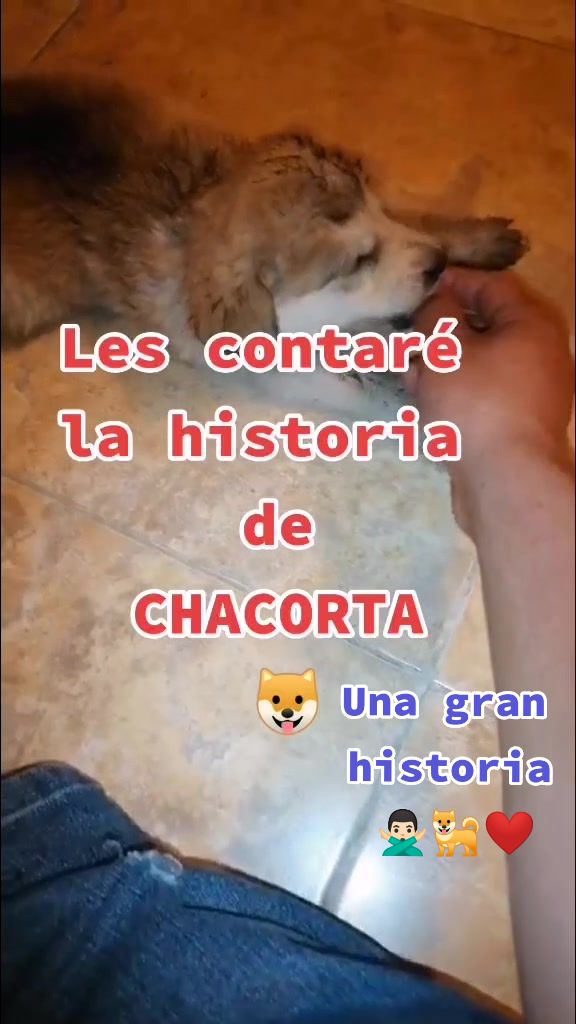 @BRAYAYIN