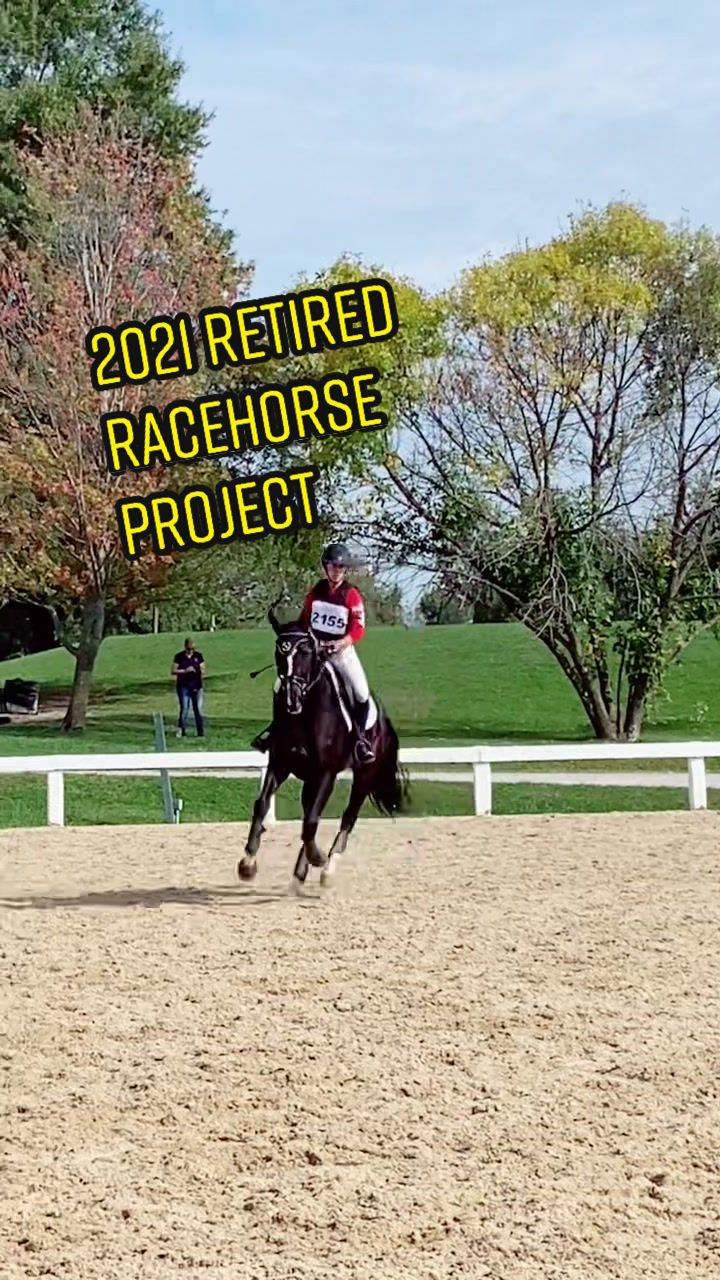 @TheChoiceEquestrian