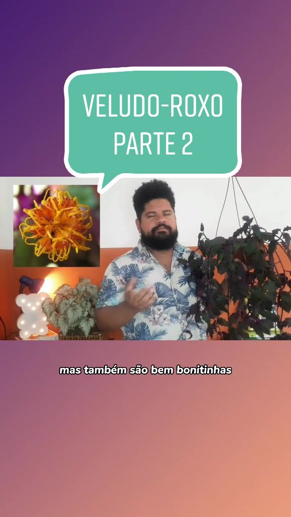 @Estúdio Mercês
