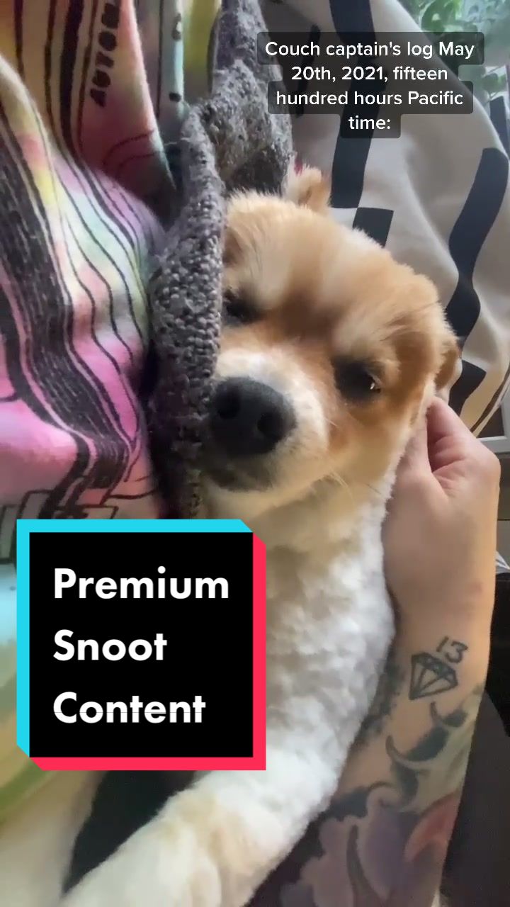 @Nati "ZombiUnicorn" Casanova