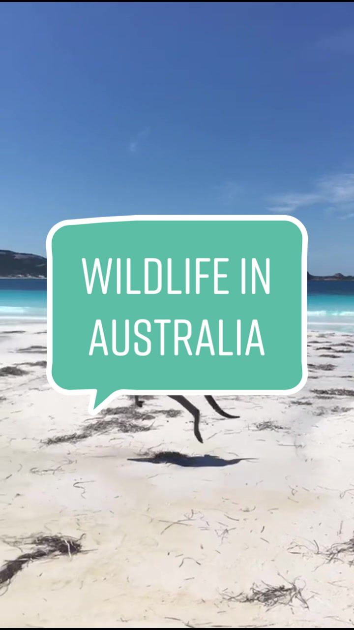 @travelbaguk
