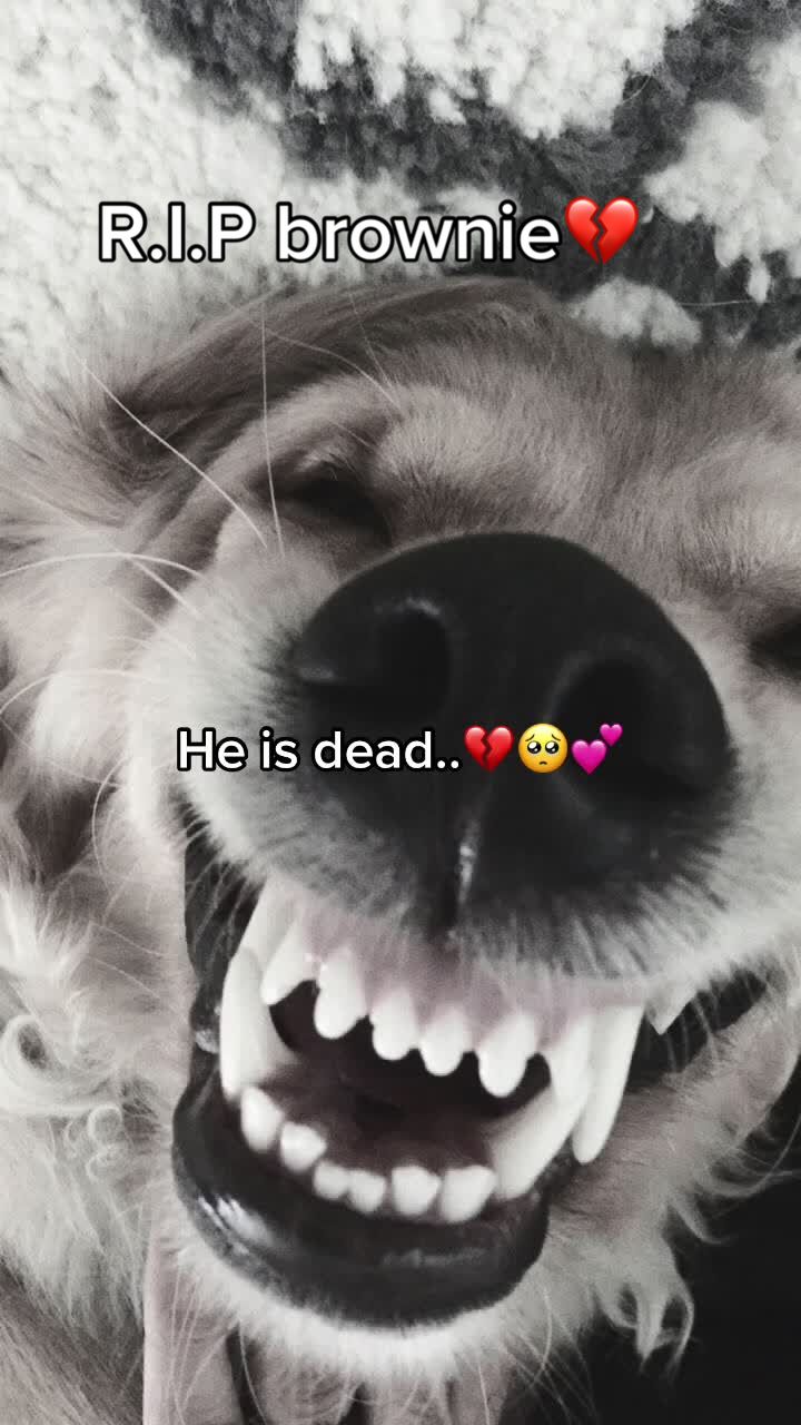 @-Fake snaps-