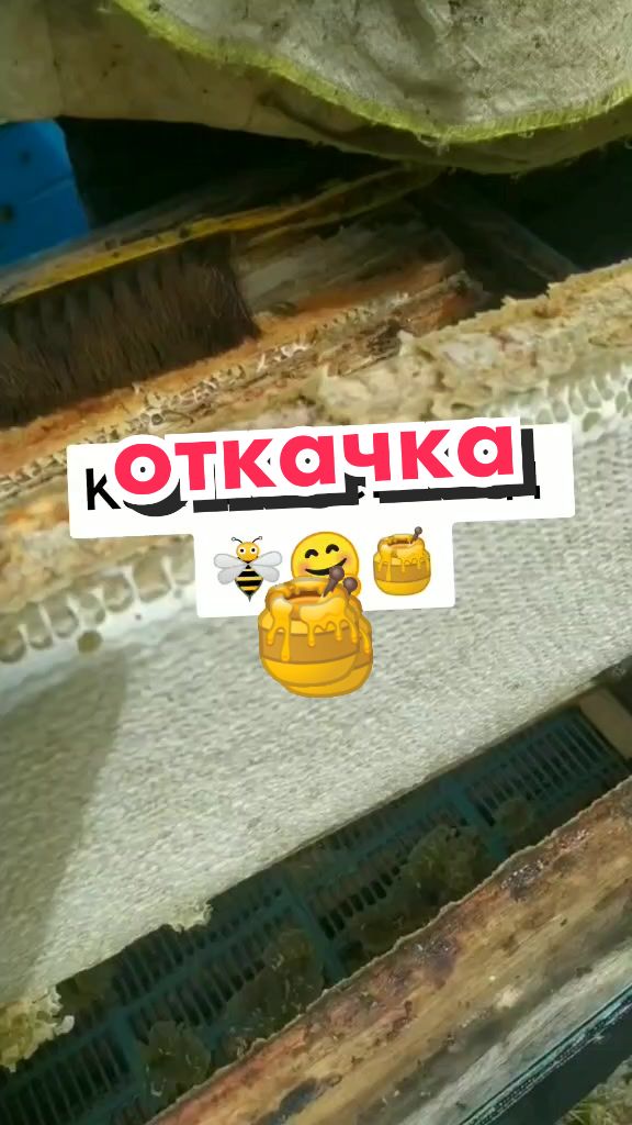 @Михаил Д&euml;ров