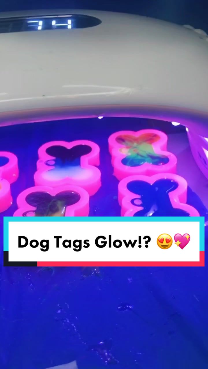 @JJ✨🐶💎🏷