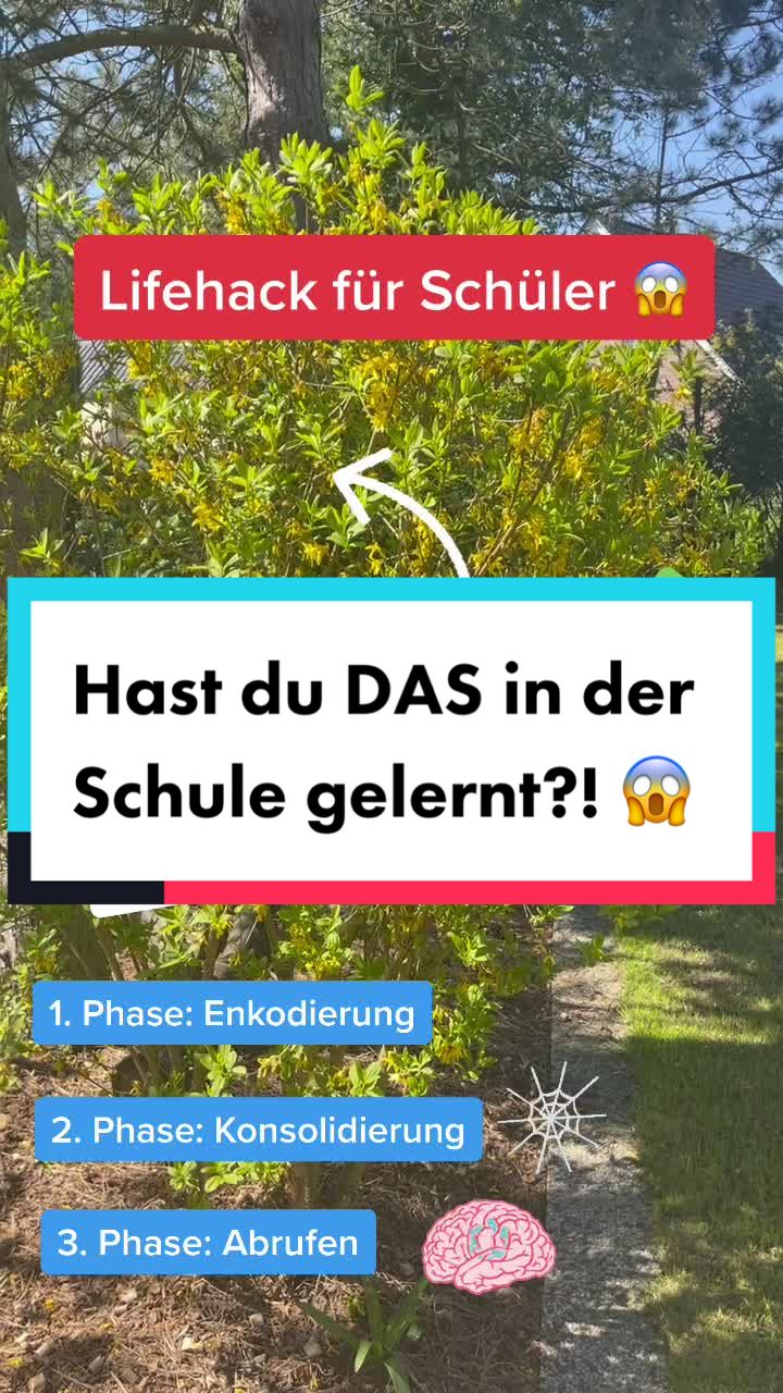@user556792022933