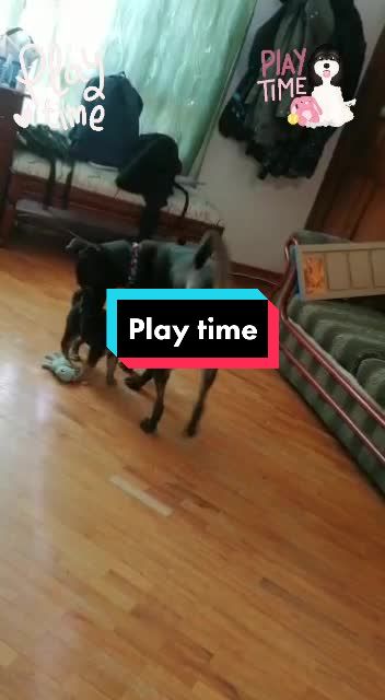 @Nala_and_Raya