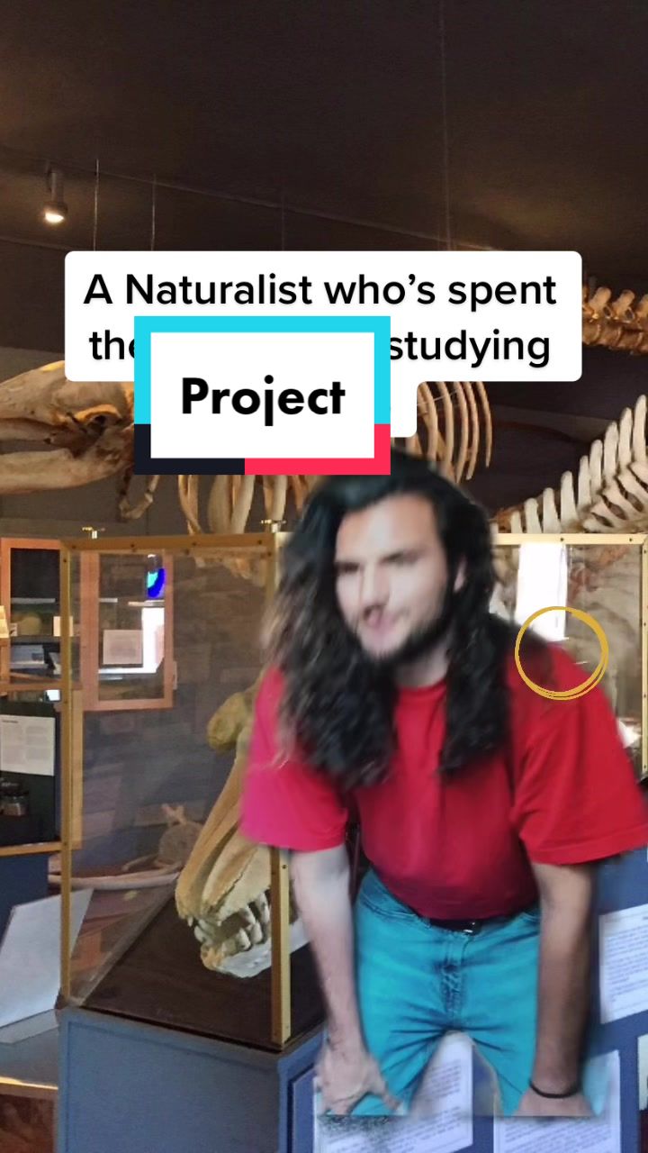 @The Orca Man