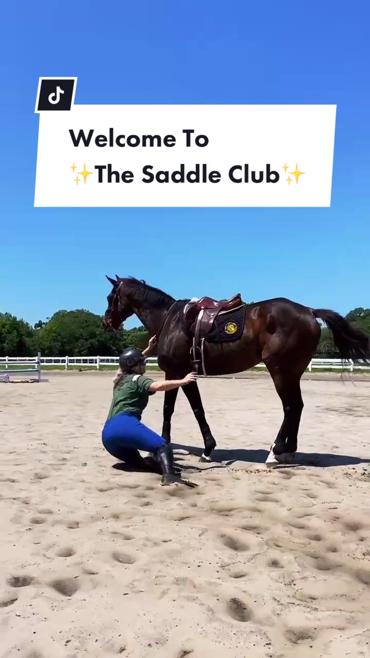 @Panda the Pony