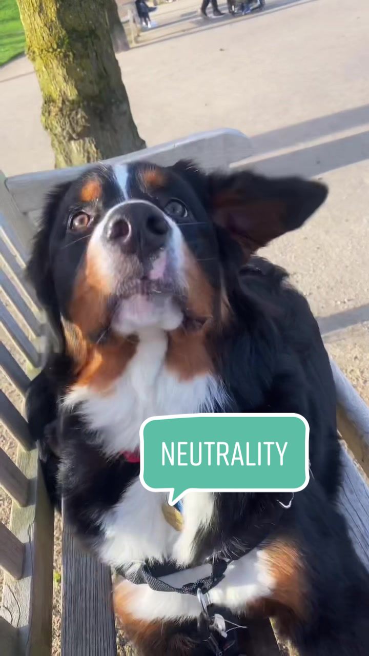 @Ry the Berner