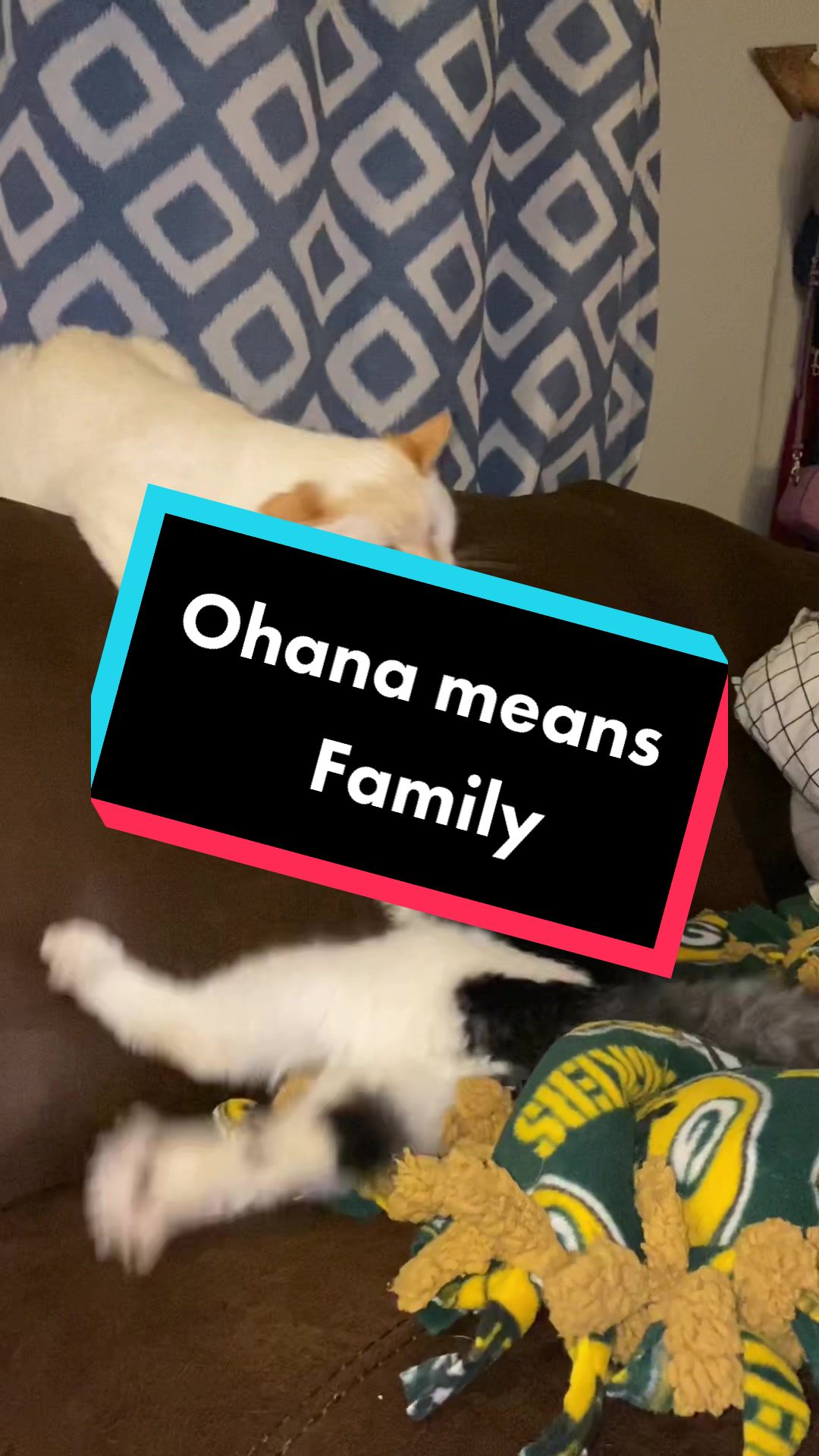 @Tilted_Hank