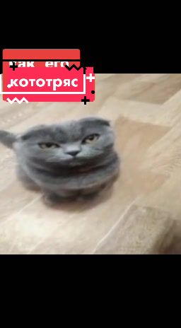 @user13819744735