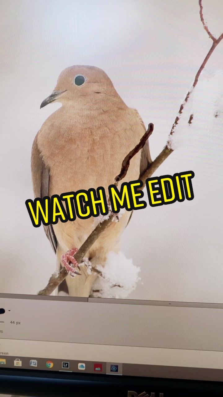 @thepostermakery