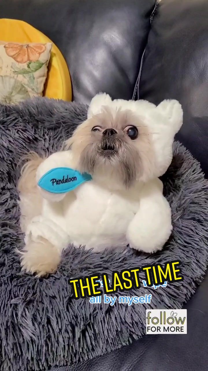 @peeweeandmiley