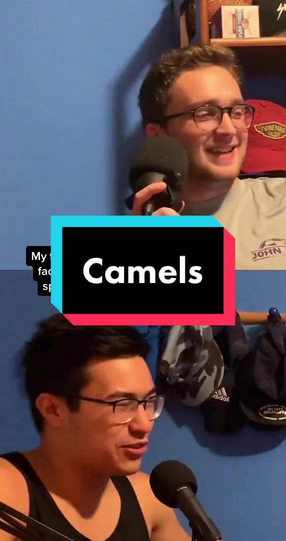 @Who Asked Podcast