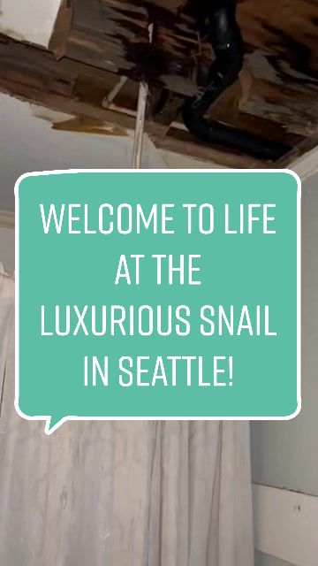 @The_Snail_Seattle