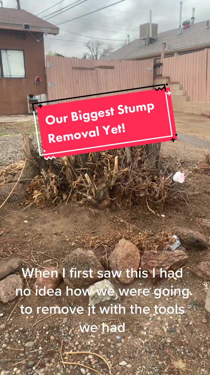 @Pros Landscaping