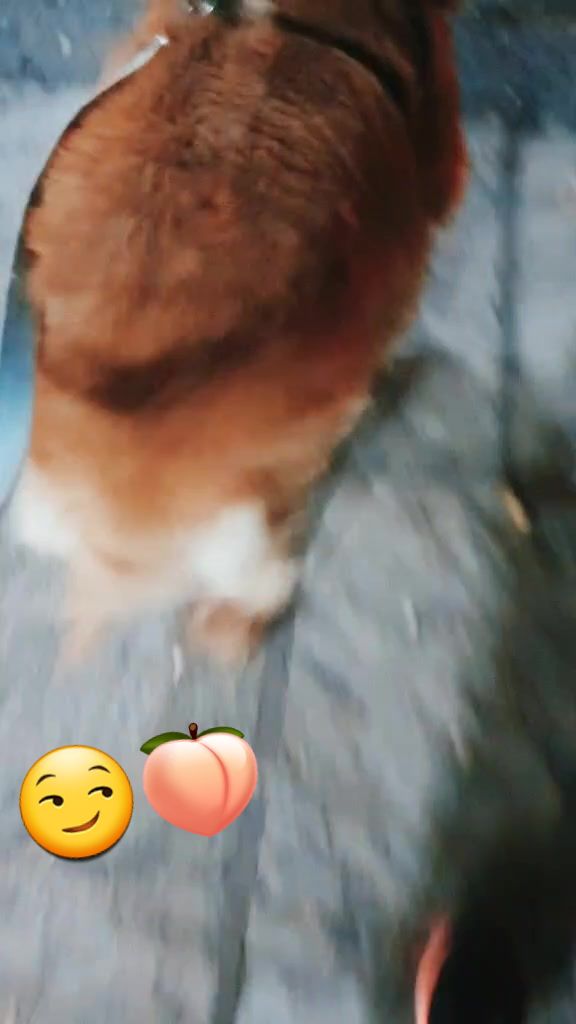 @gabrielposanzini