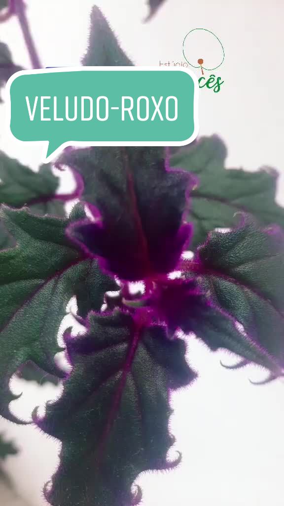 @Estúdio Mercês