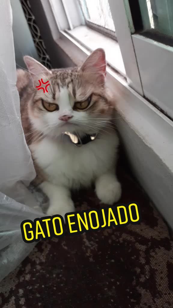 @Luis J.