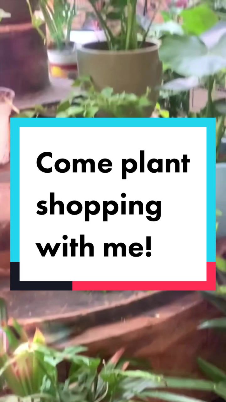 @Island_Plant_Mama