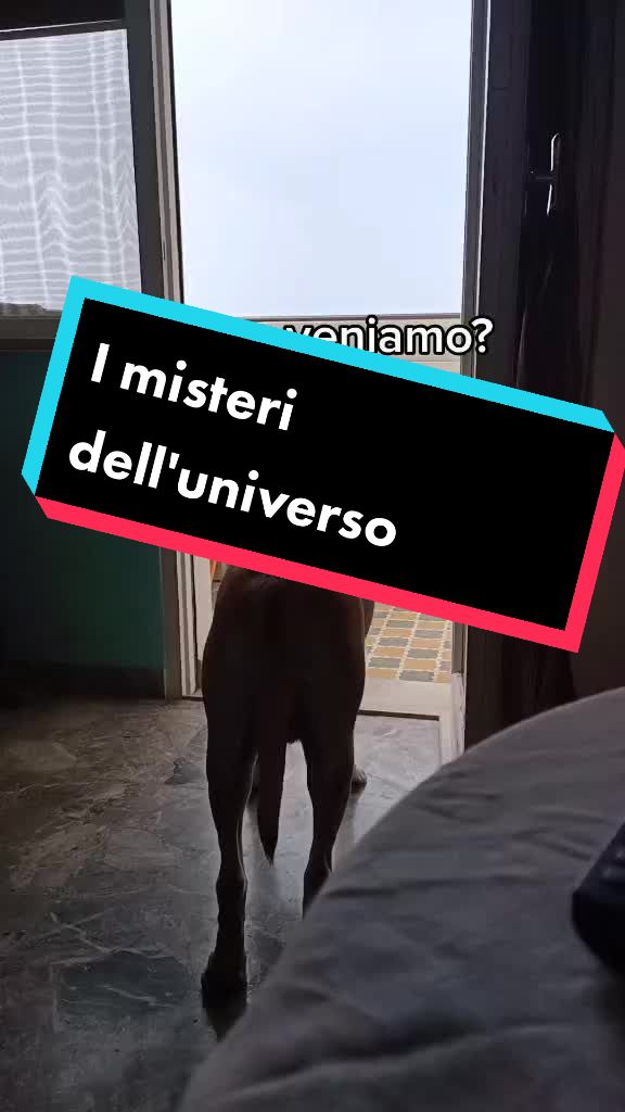 @il mio amico Lucky