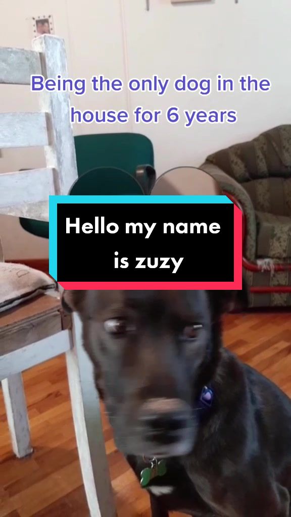 @Nala_and_Raya