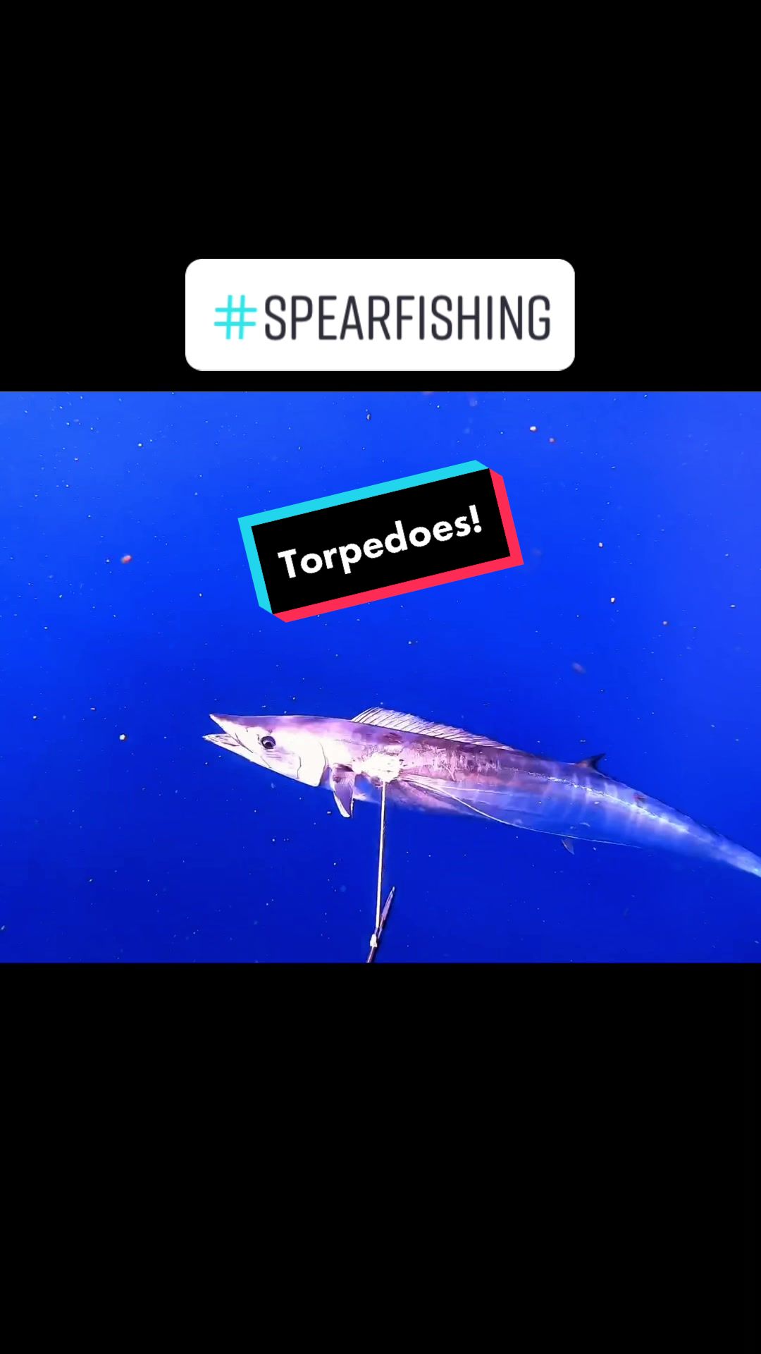 @kairosspearfishing