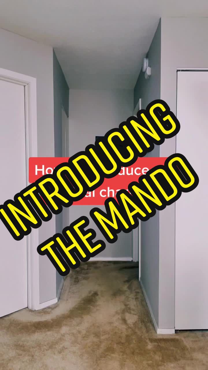 @Ruthane The Crusader