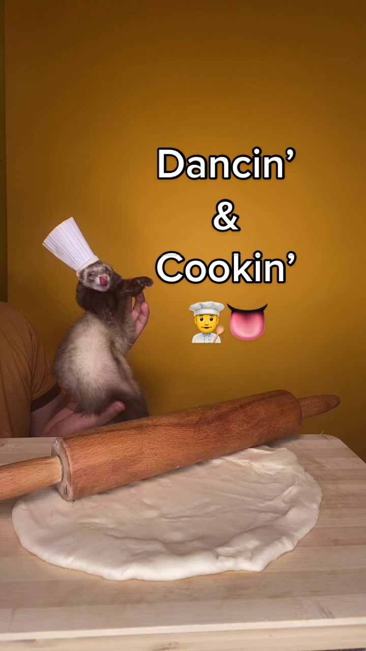 @Floofnoodles