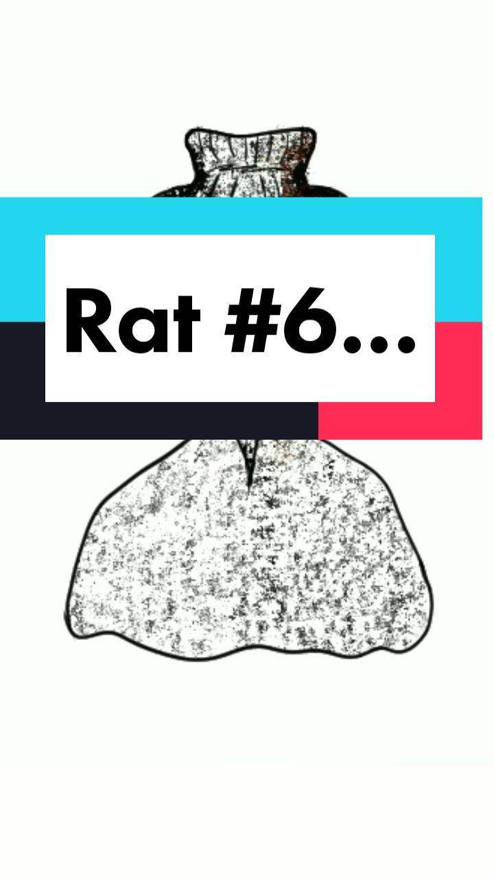 @FIVE RATS