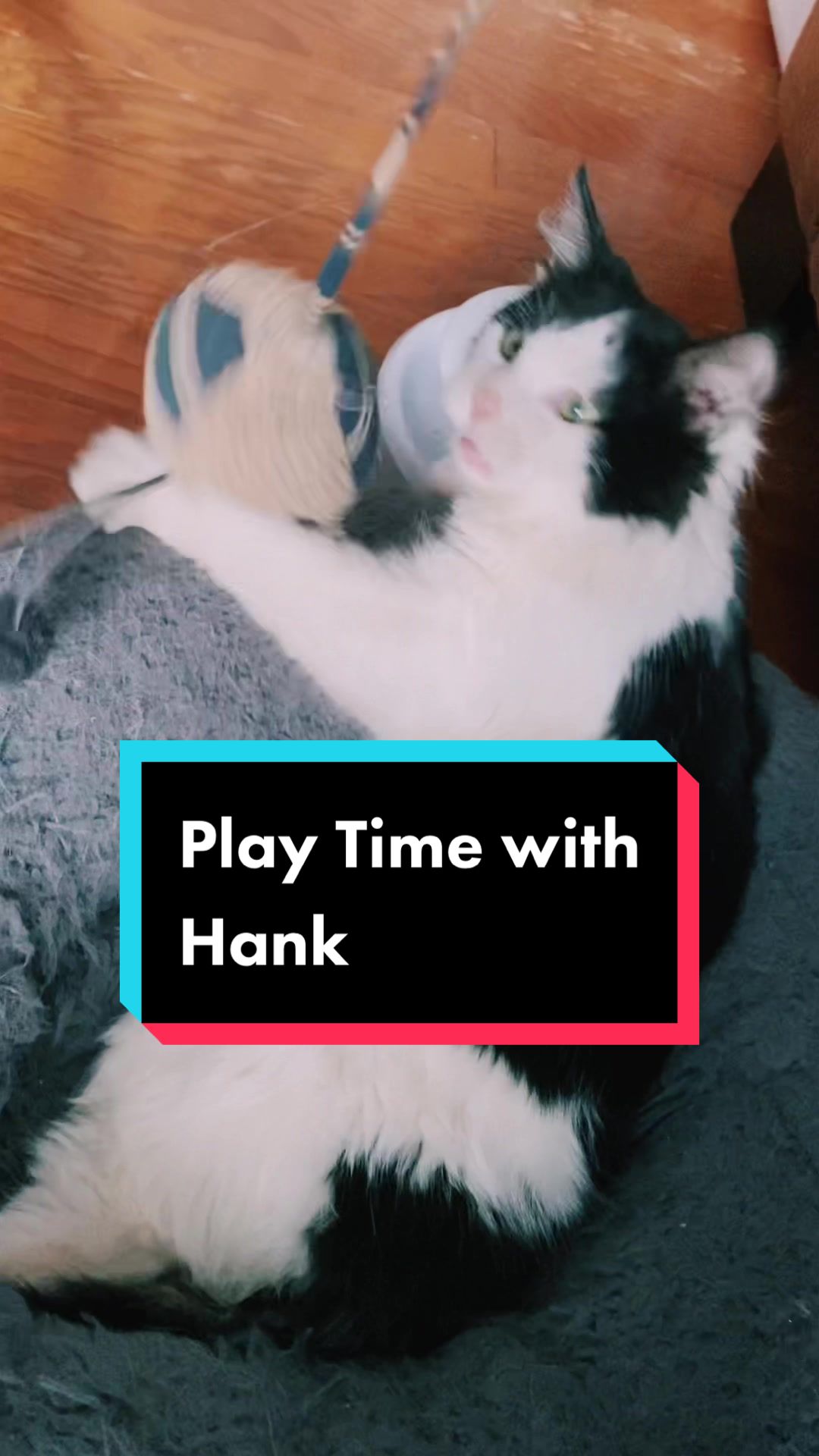 @Tilted_Hank