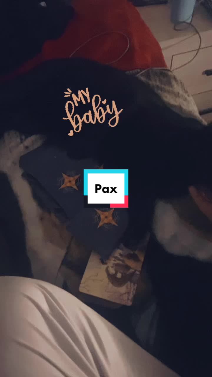 @Babbit