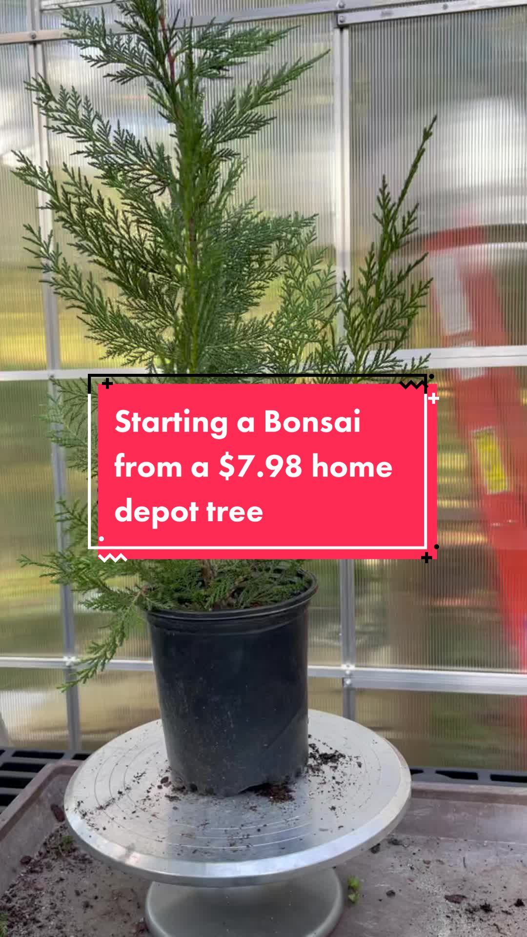@Jerome_bonsai
