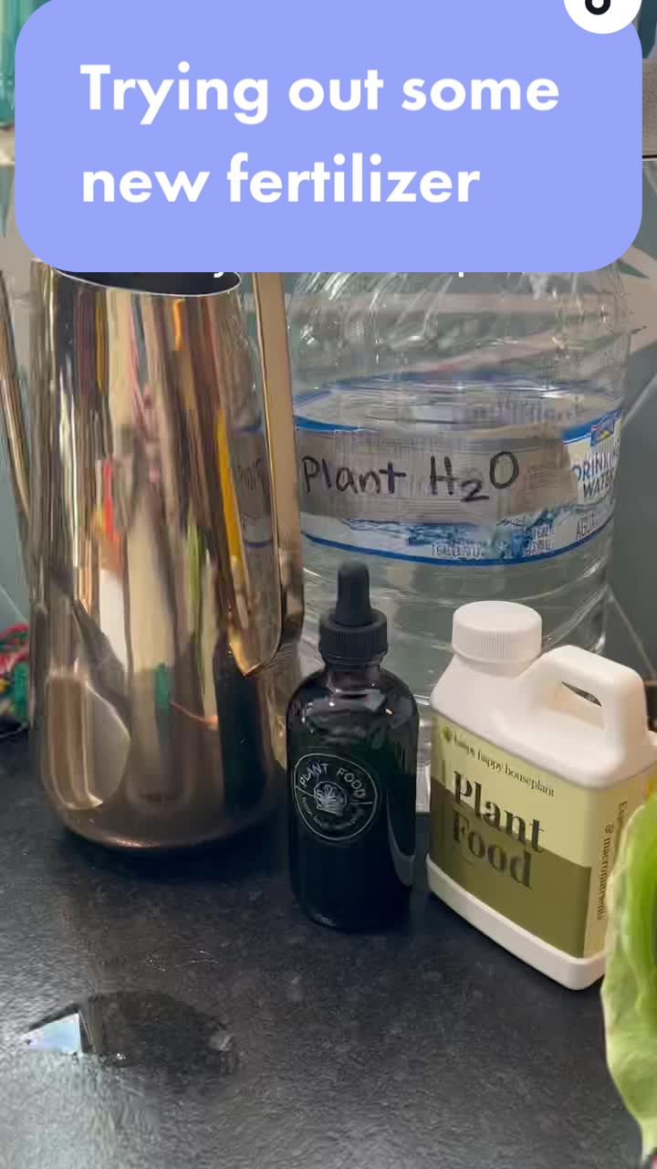 @Alice Pleasance