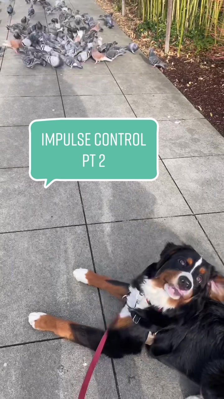 @Ry the Berner
