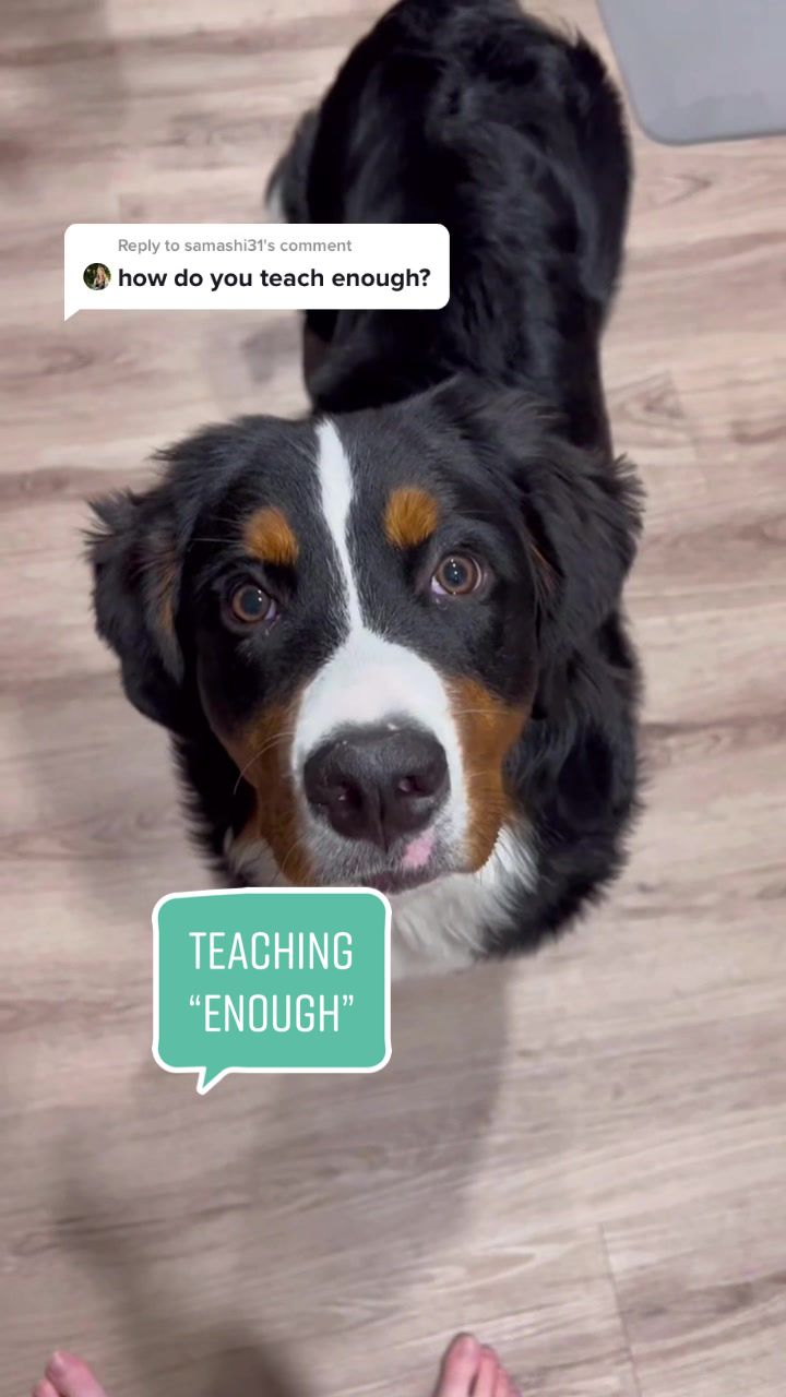@Ry the Berner