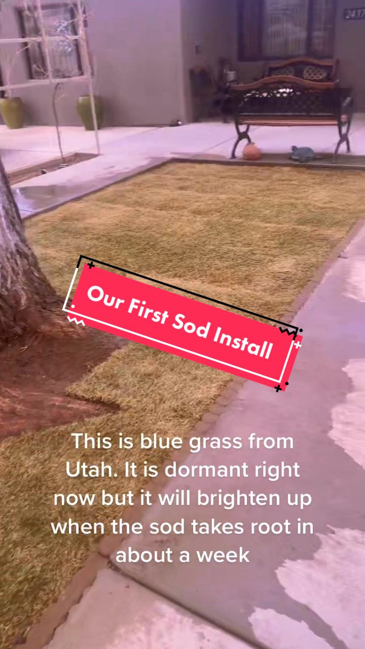 @Pros Landscaping