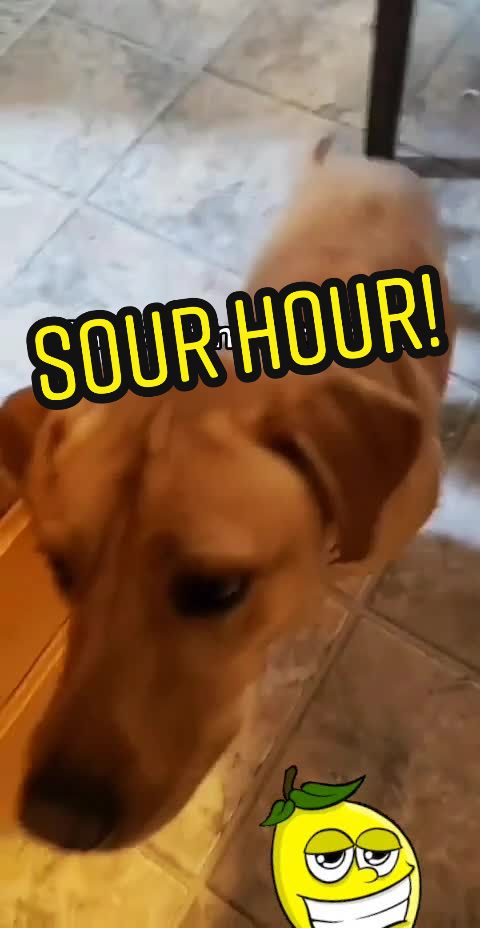 @Kim