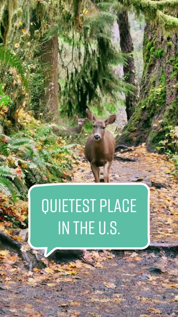 @Pacific.NW.Megan