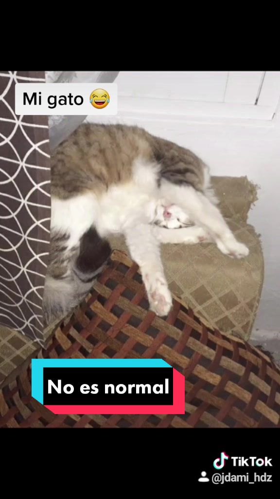 @Luis J.