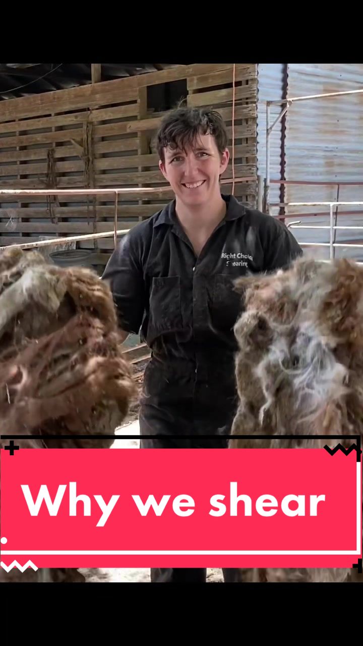 @rightchoiceshearing