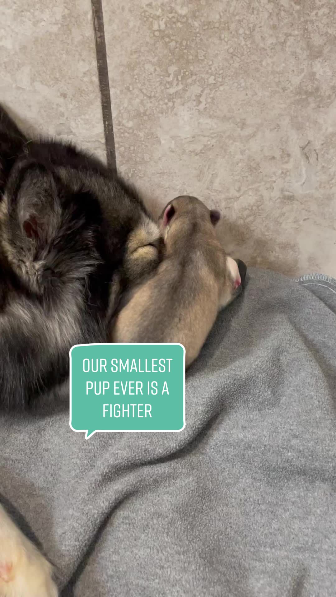 @jasperblues0